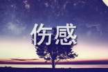 【實用】2021年傷感唯美句子匯編79條