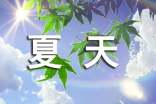 咬人的夏天讀后感400字